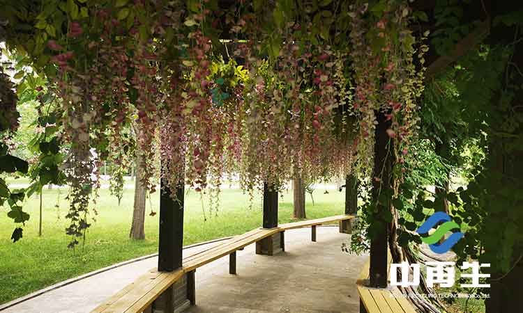 對于生活垃圾處理與“兩網(wǎng)融合”之間關(guān)系的一些認識