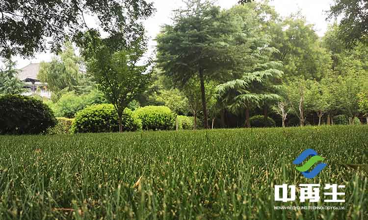 生活垃圾填埋場生態(tài)恢復植被是如何選擇的?