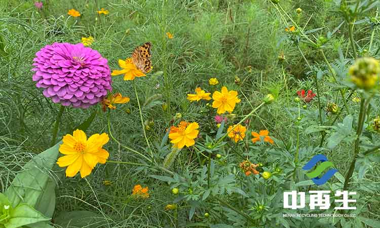 生活垃圾的經(jīng)濟(jì)循環(huán)和生活垃圾的循環(huán)經(jīng)濟(jì)不是可以等同的兩個概念